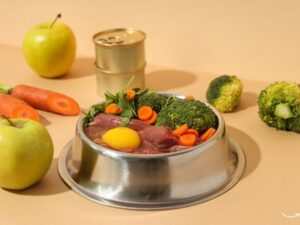 Unveiling the Secrets of Pet Food Experts: Ensuring Your Pet’s Optimal Nutrition