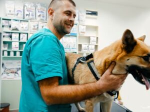 The Ultimate Guide to Your Pet Wellness Clinic