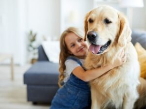 The Ultimate Guide to Finding the Perfect Pet Sitter