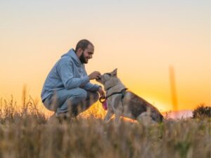 Pet Sitting: A Trusted Solution for Your Furry Friends