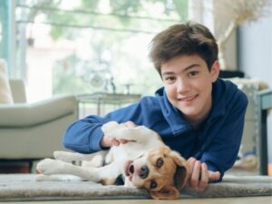 Your Pet’s Best Friend: The Ultimate Guide to an Animal Medical Clinic
