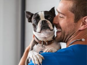 Your Pet’s Best Friend: Discovering the Right Small Animal Care Clinic in San Jacinto
