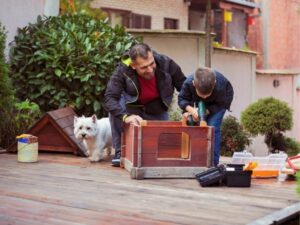 Animal Shelters: A Safe Haven for Stray and Abandoned Pets