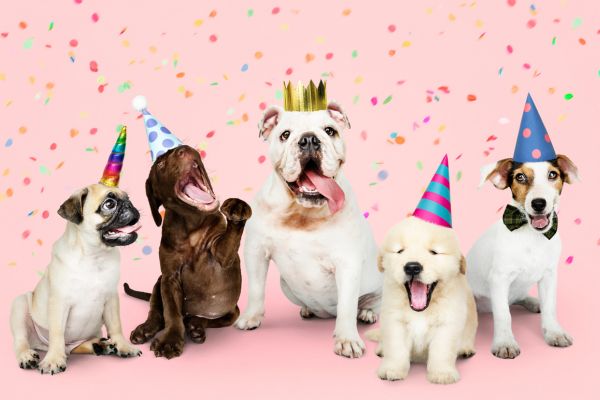 best dog breeds for families
