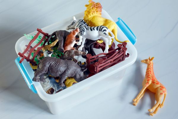 Animal education for kids