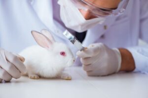 Animal Testing: Ethics, Alternatives & Impact