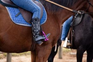 Horse Riding Aids Explained: Seat, Legs, Hands and Voice